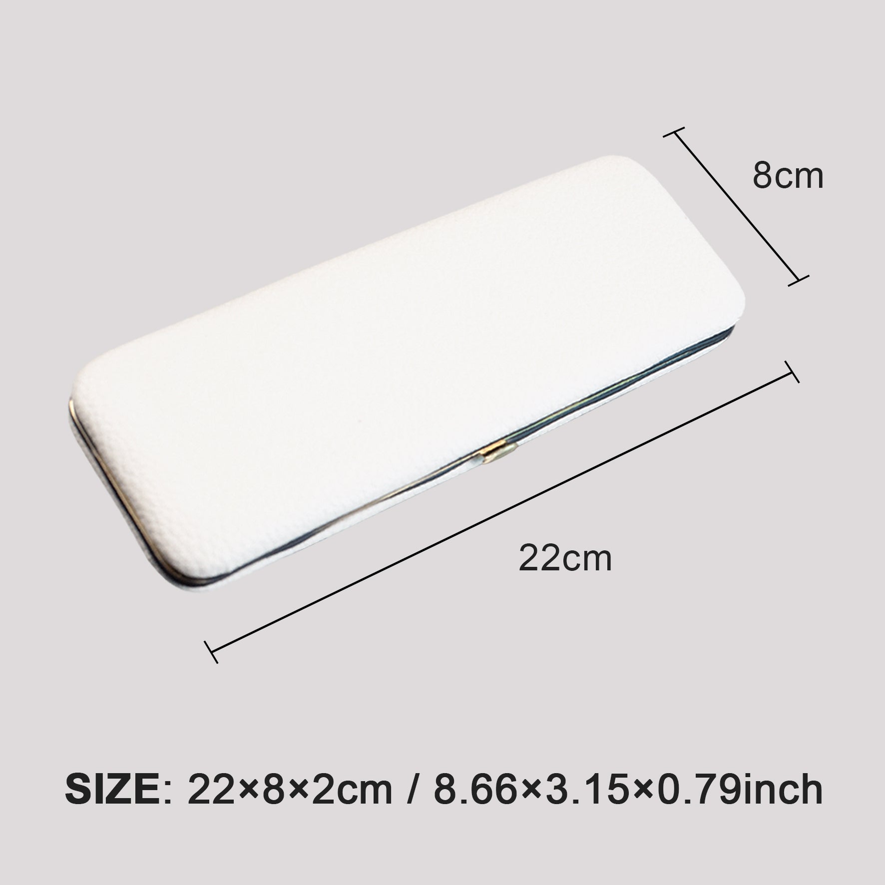 Large Size Professional Storage Box