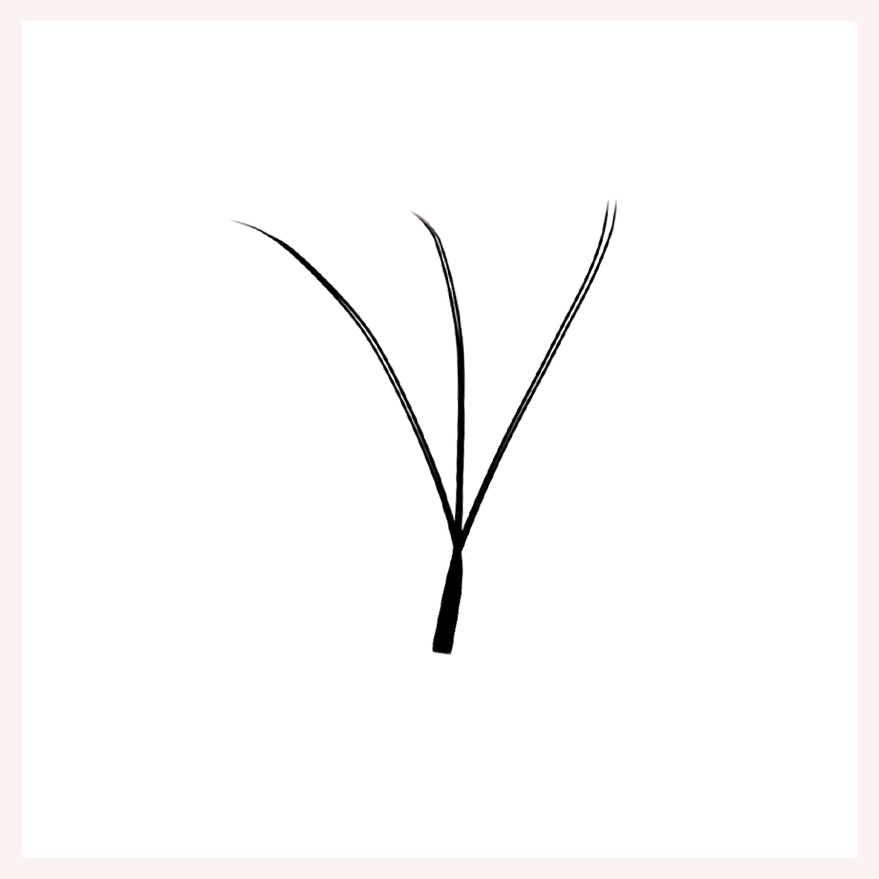 W Shape Two Split Tips 3D Eyelash Extensions