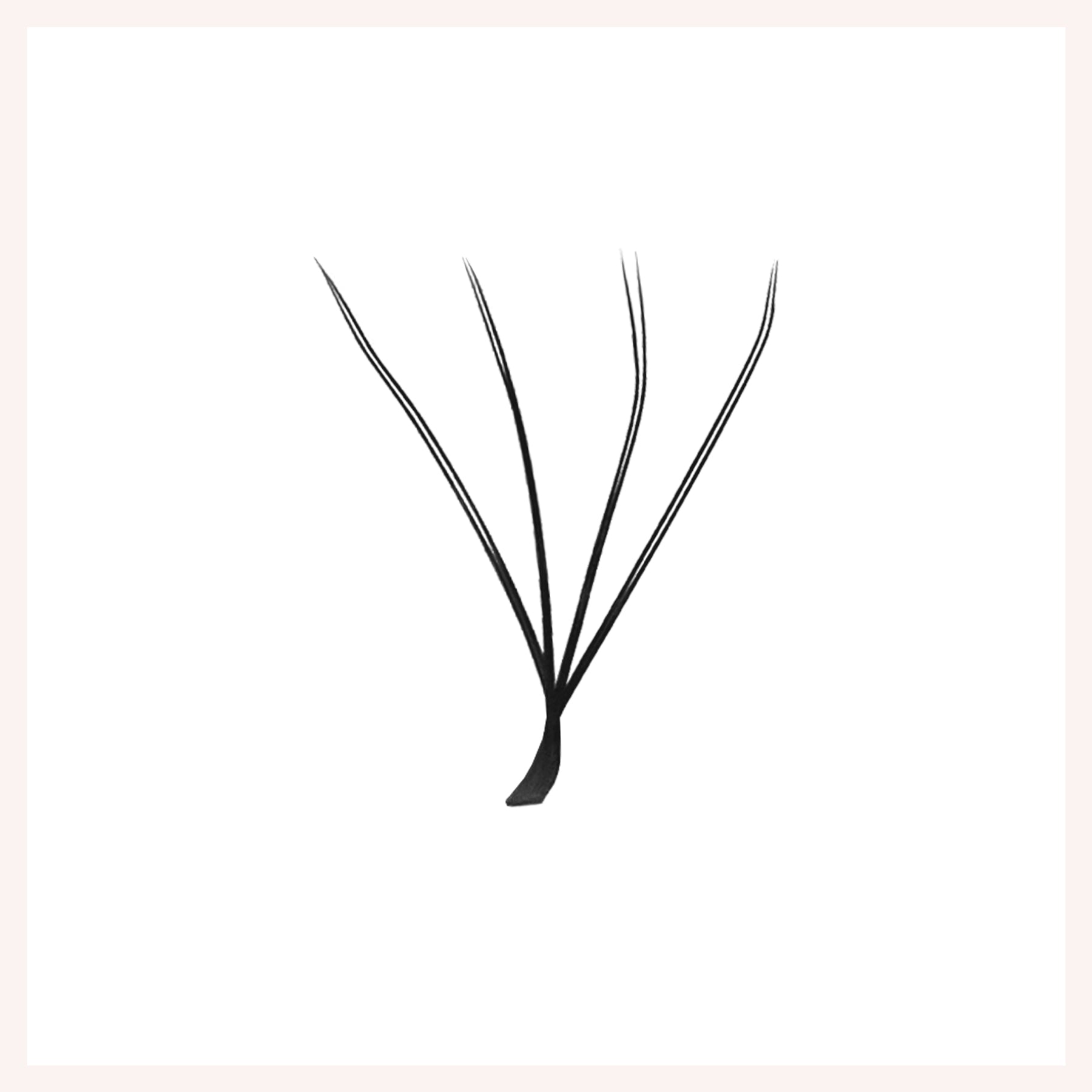 W Shape Two Split Tips 4D Eyelash Extensions