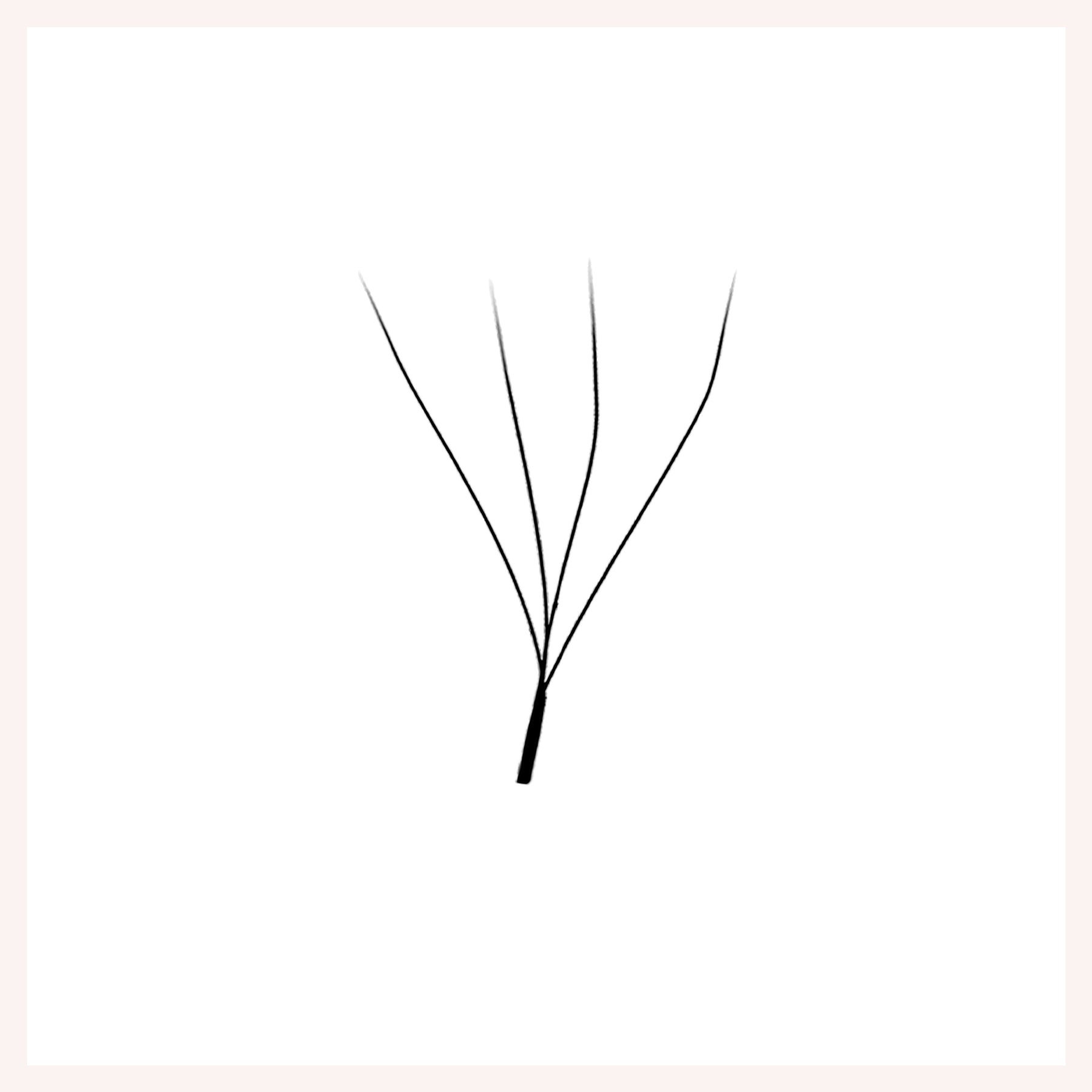 W Shape 4D Premade Fans Eyelash Extensions