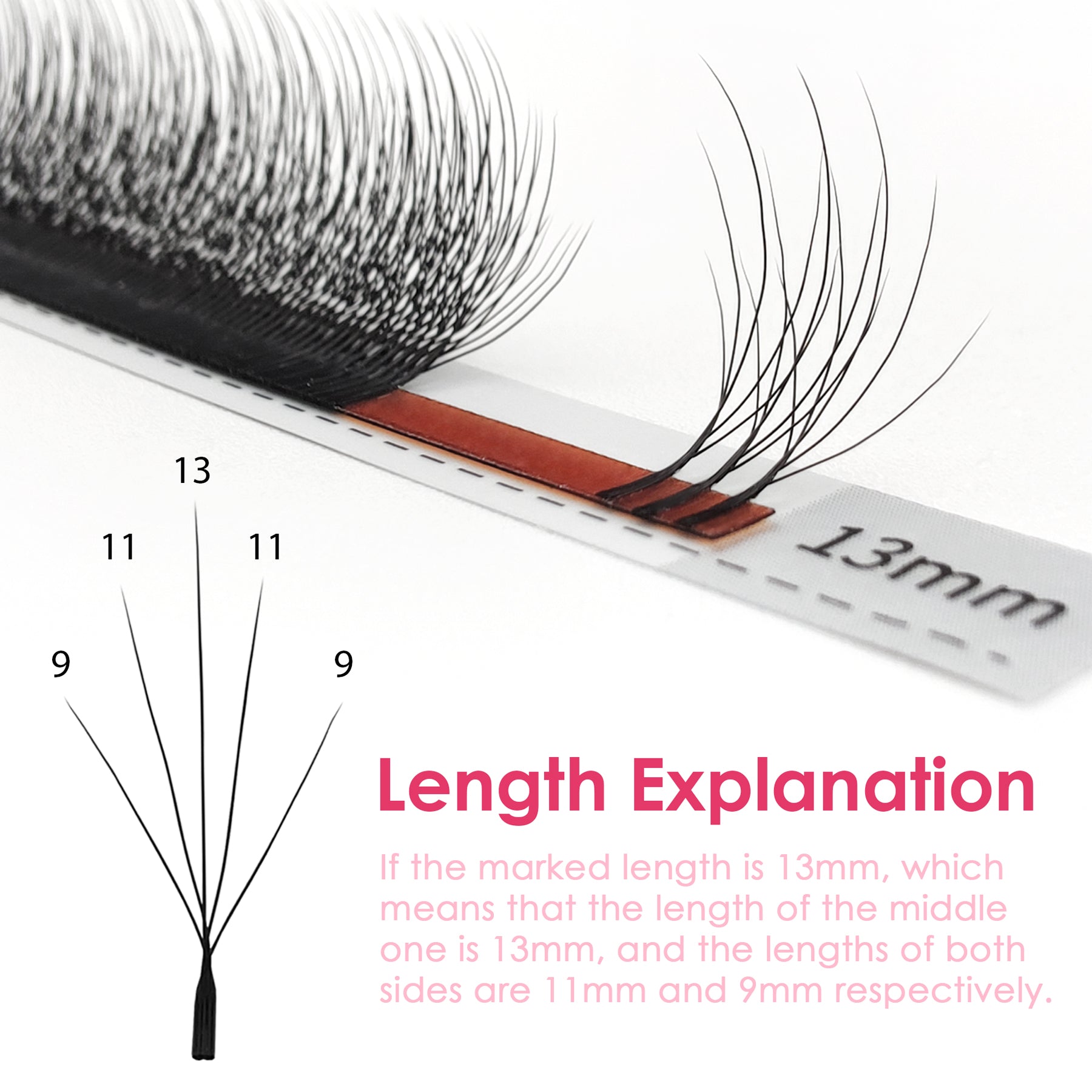 W Shape Wispy-5D Premade Fans Eyelash Extensions