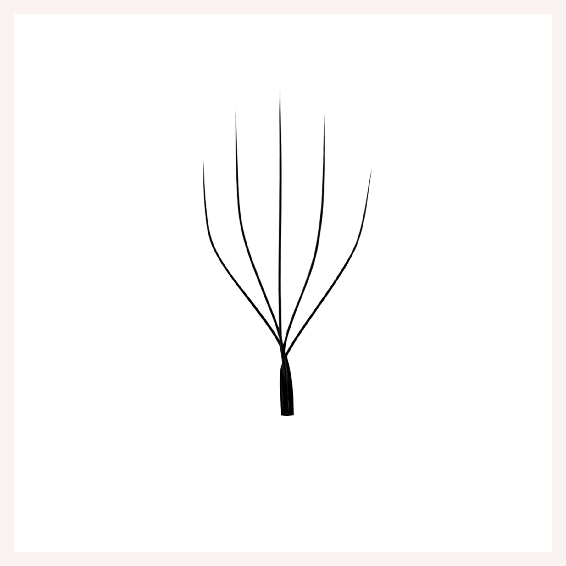 W Shape Petal-5D Premade Fans Eyelash Extensions