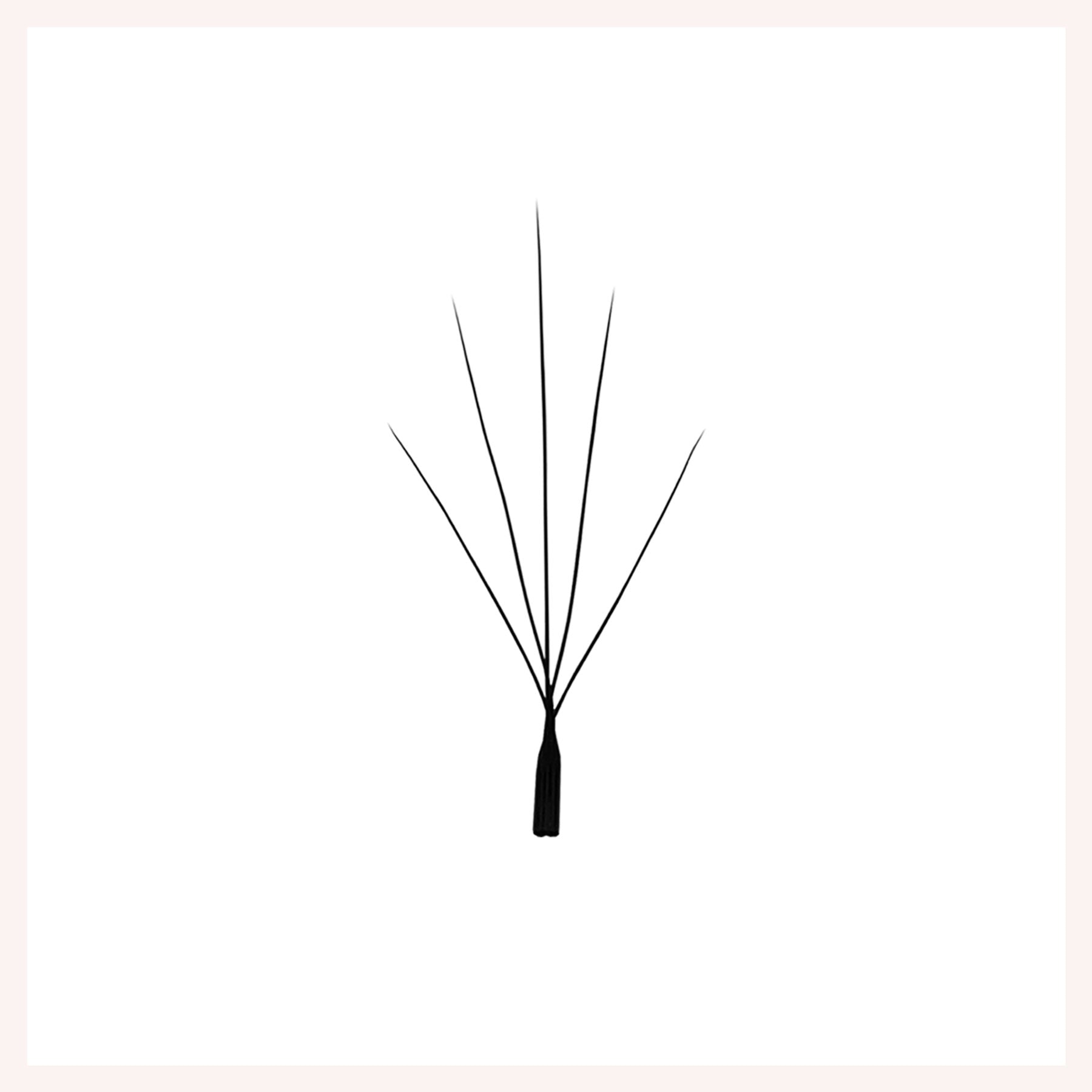 W Shape Wispy-5D Premade Fans Eyelash Extensions