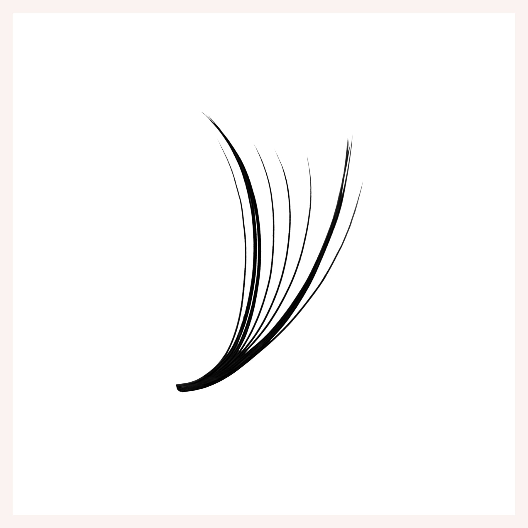 Extensiones de pestañas prefabricadas 6D/10D