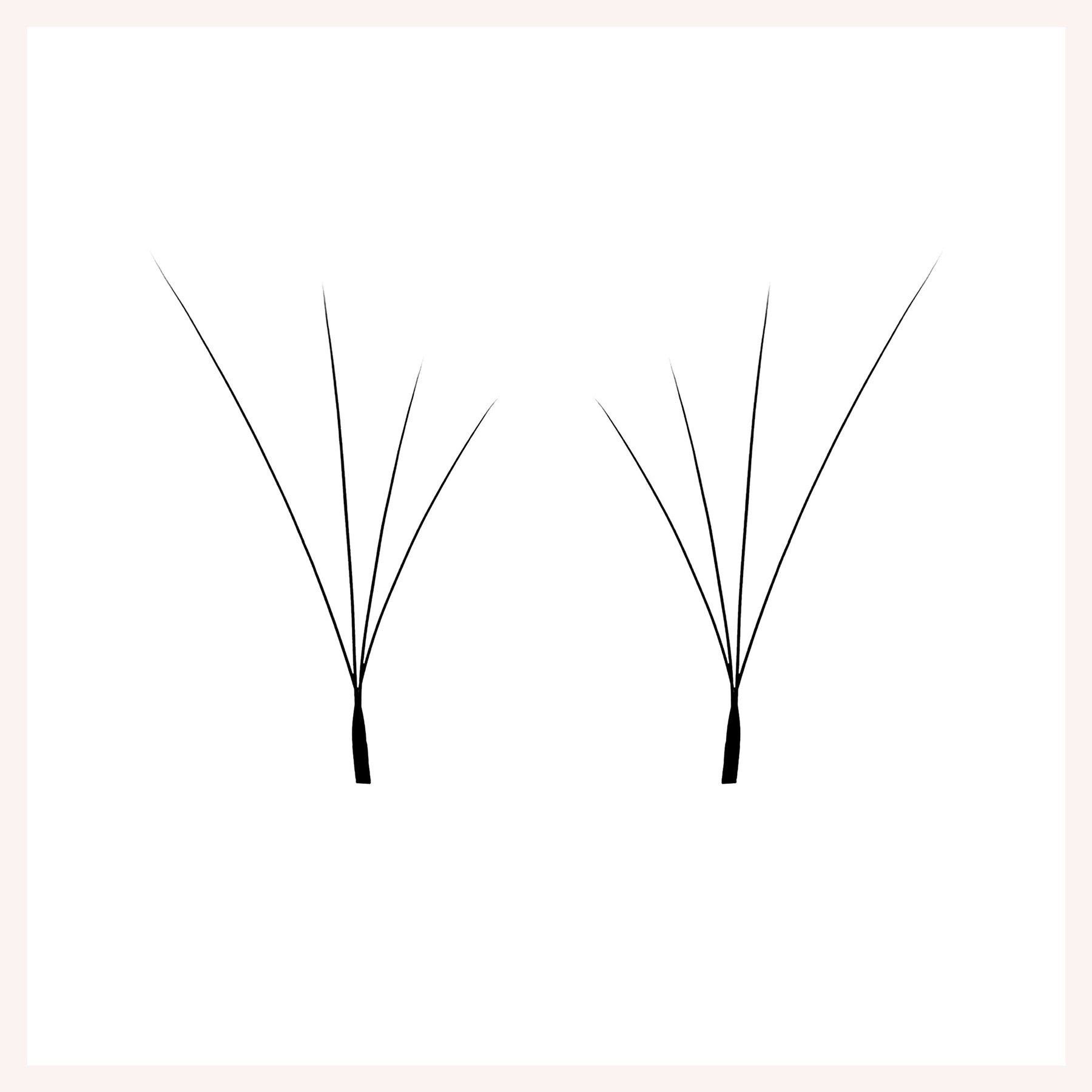 W Shape Fox 4D Slant Flying Eyelash Extensions