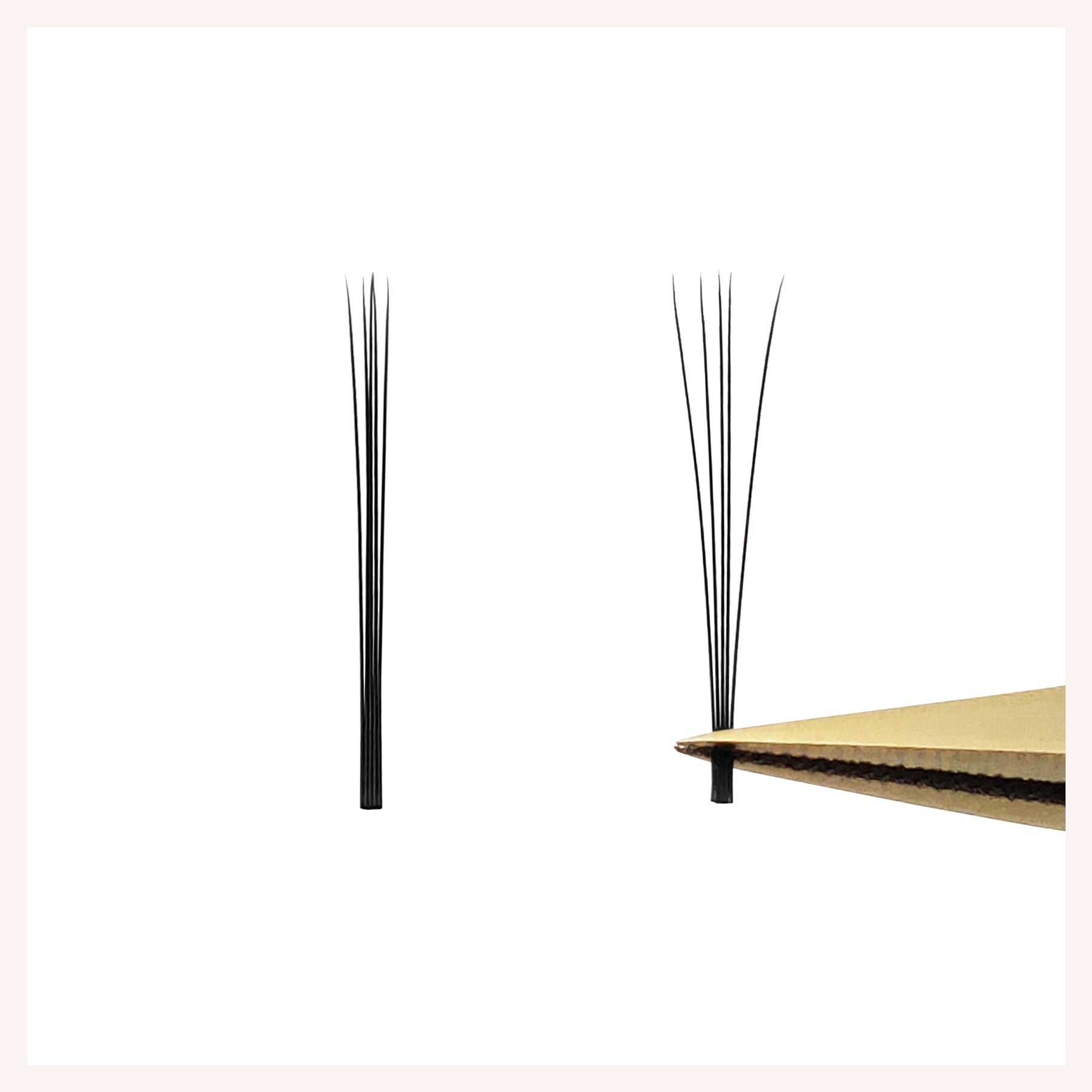 5D Flower Fairy Eyelash Extensions