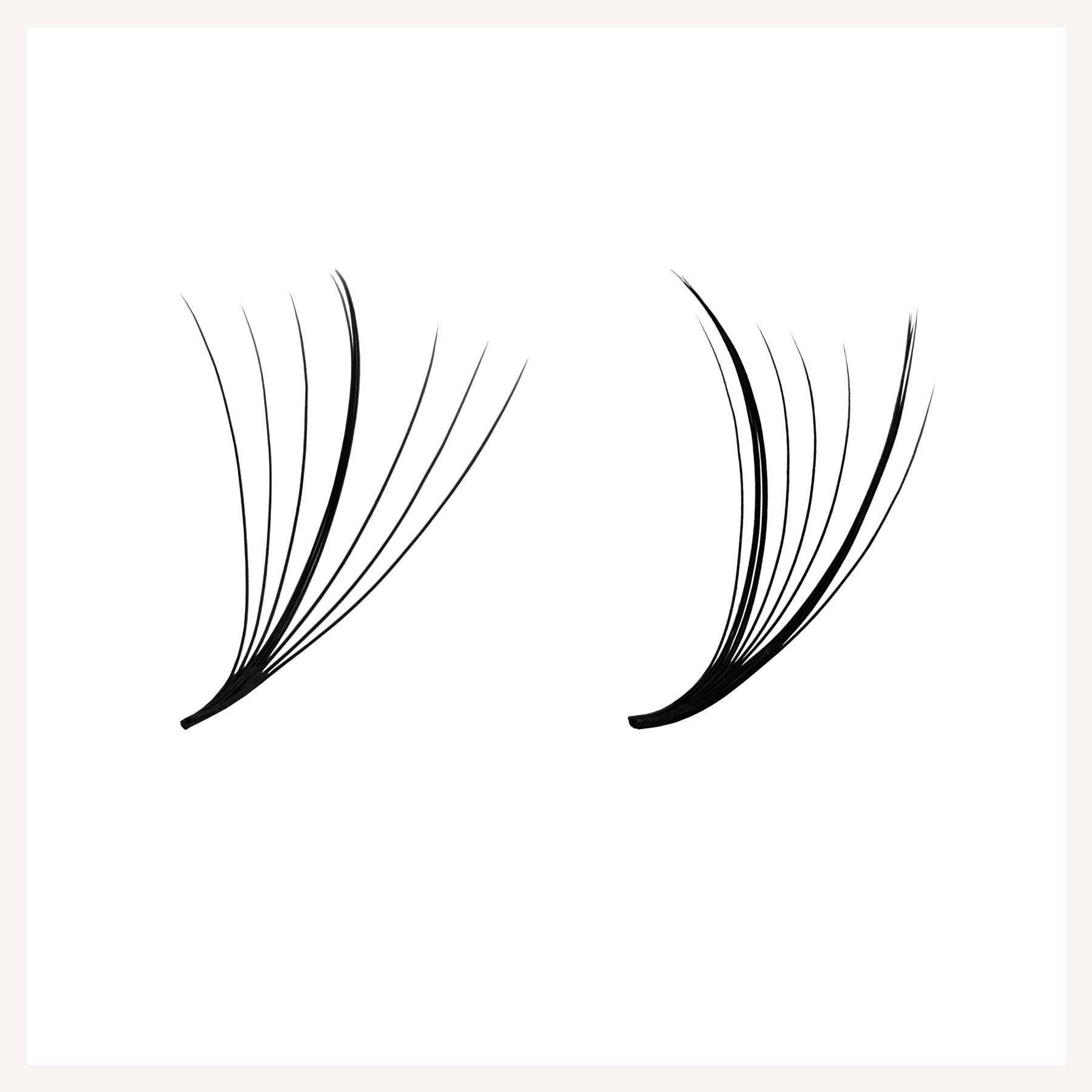 Butterfly Premade Fans Eyelash Extensions
